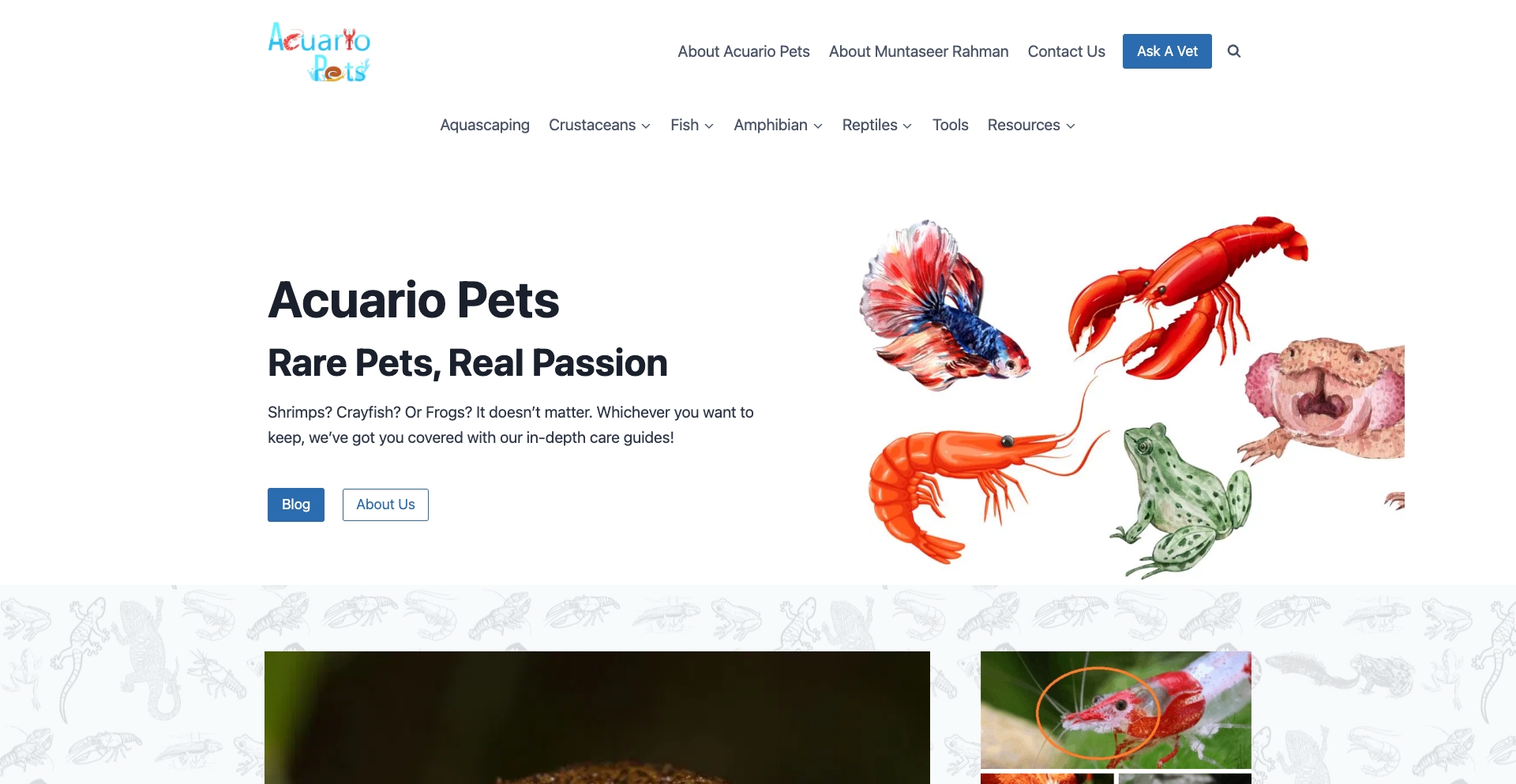Acuario Pets – Let's Dive Underwater entity-database programmatic SEO template - 0 monthly traffic
