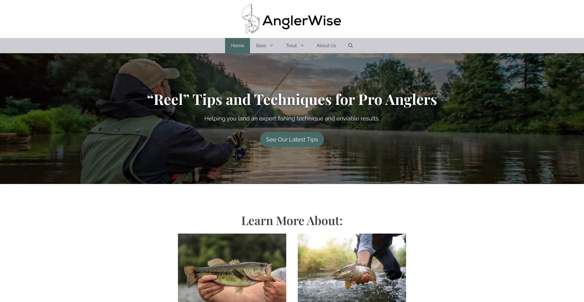 Anglerwise template programmatic SEO template - 206 monthly traffic