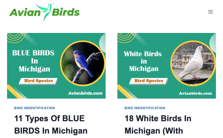 Avianbirds template programmatic SEO template - 32 monthly traffic