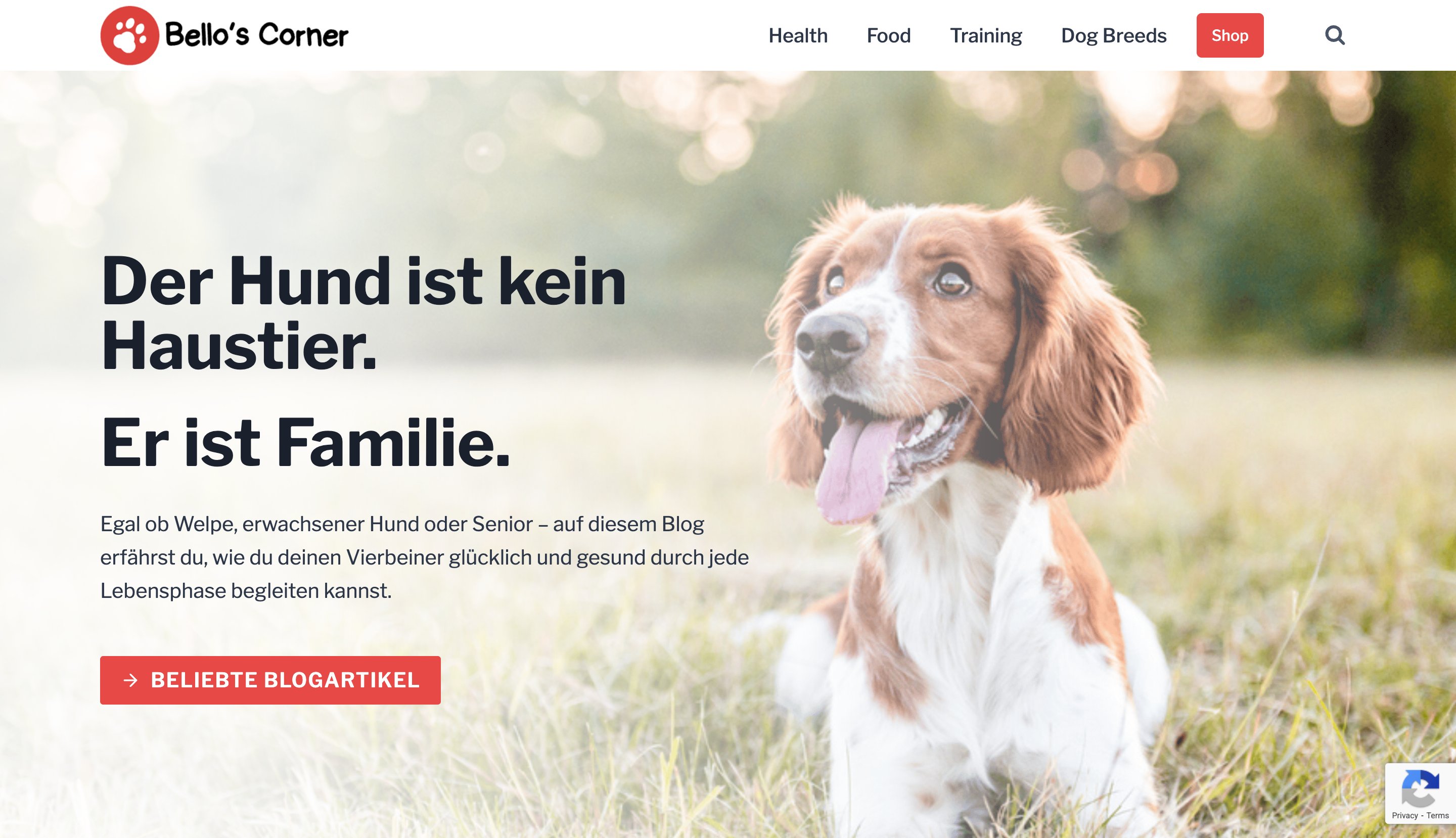 Bellos Reich entity-database programmatic SEO template - 143 monthly traffic