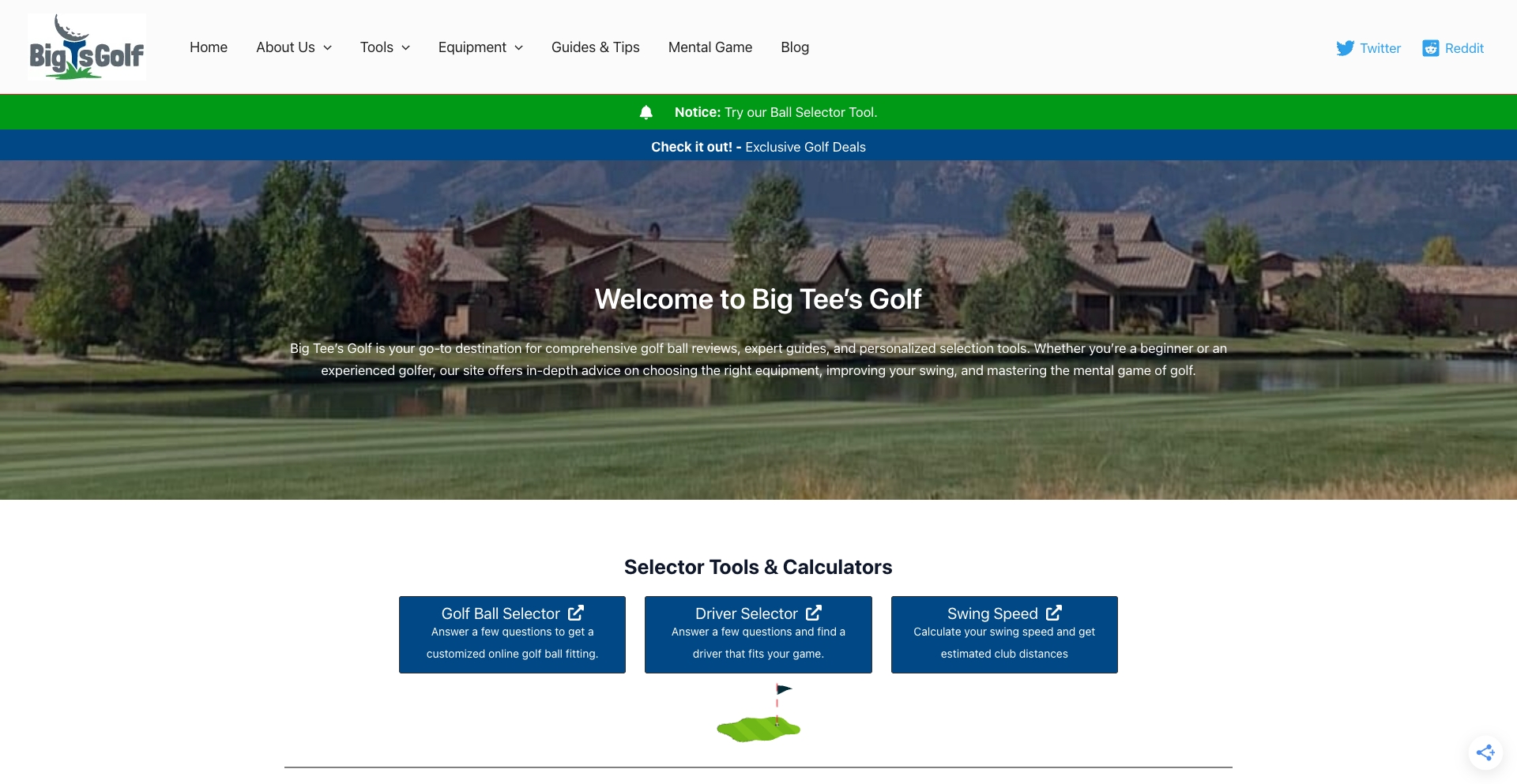 Welcome to Big Tee's Golf tool programmatic SEO template - 4979 monthly traffic
