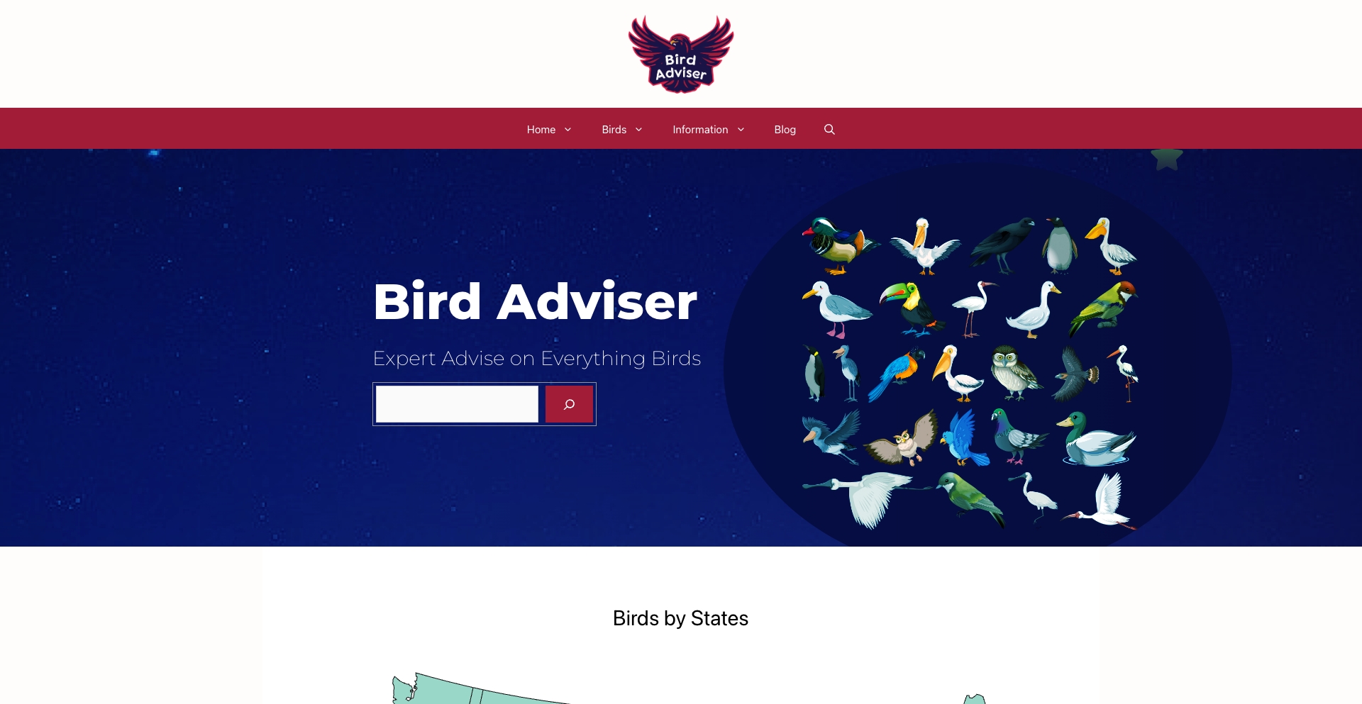 Bird Adviser location-template programmatic SEO template - 0 monthly traffic