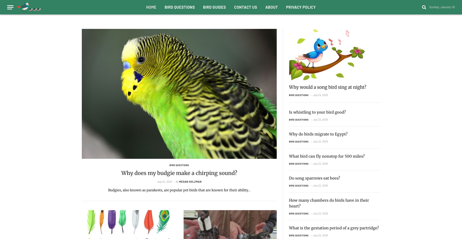 Birdful entity-database programmatic SEO template - 0 monthly traffic