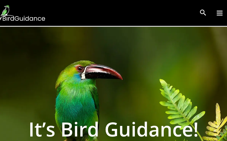 Birdguidancecom template programmatic SEO template - 0 monthly traffic