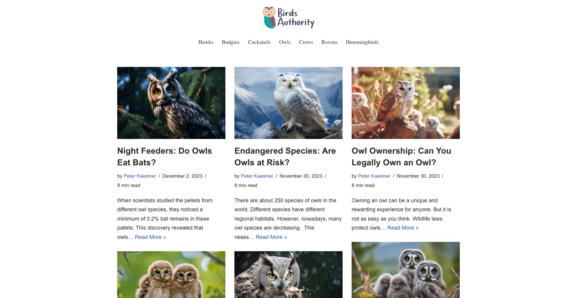 Birds Authority question-answer programmatic SEO template - 0 monthly traffic