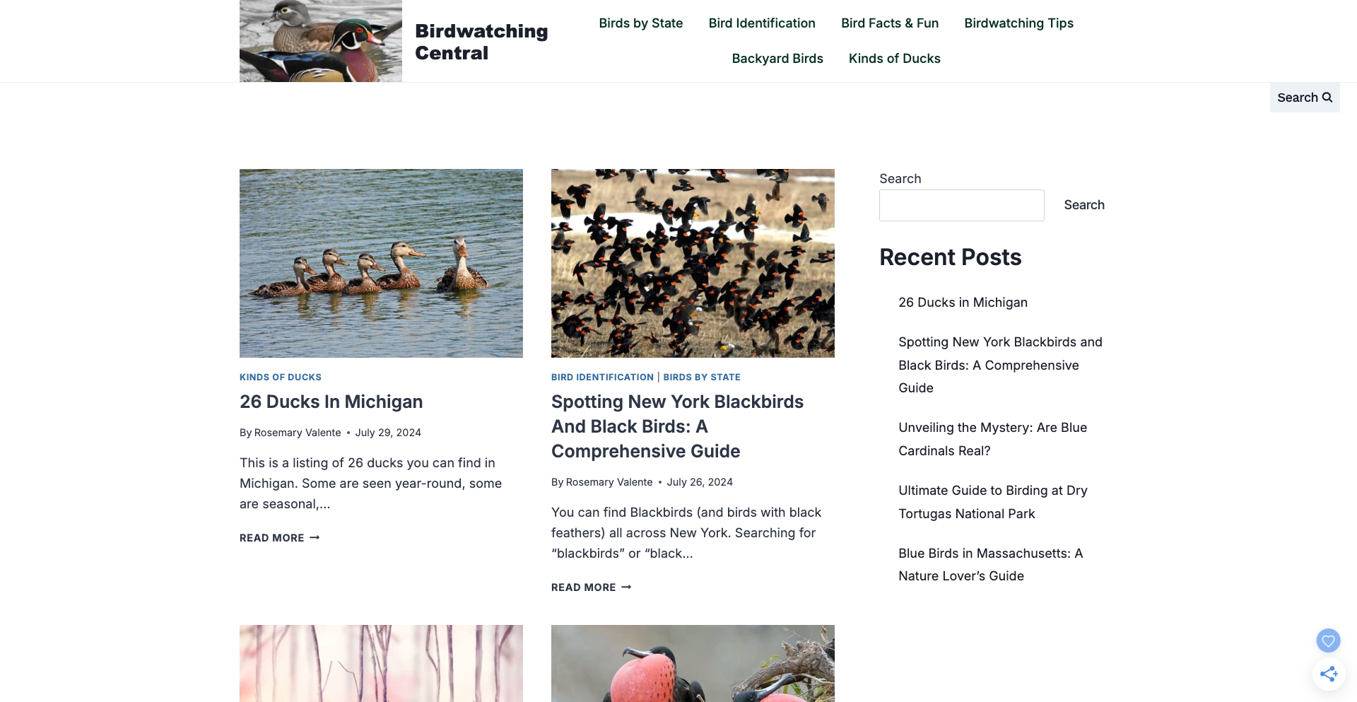 Birdwatching Central location-data programmatic SEO template - 8971 monthly traffic