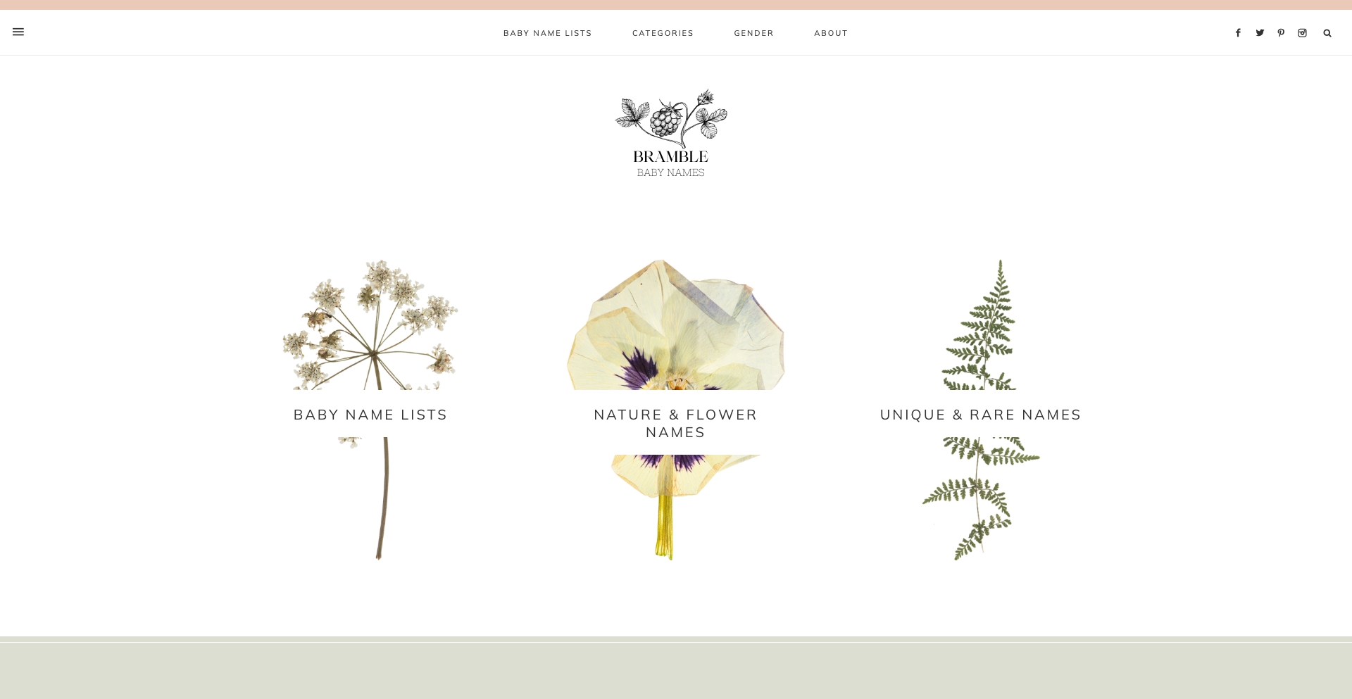 Bramblebabynames template programmatic SEO template - 2335 monthly traffic