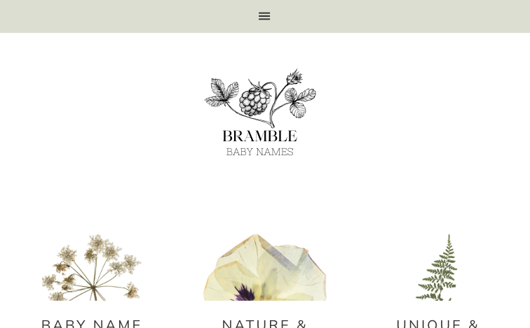 Bramblebabynamescom template programmatic SEO template - 0 monthly traffic