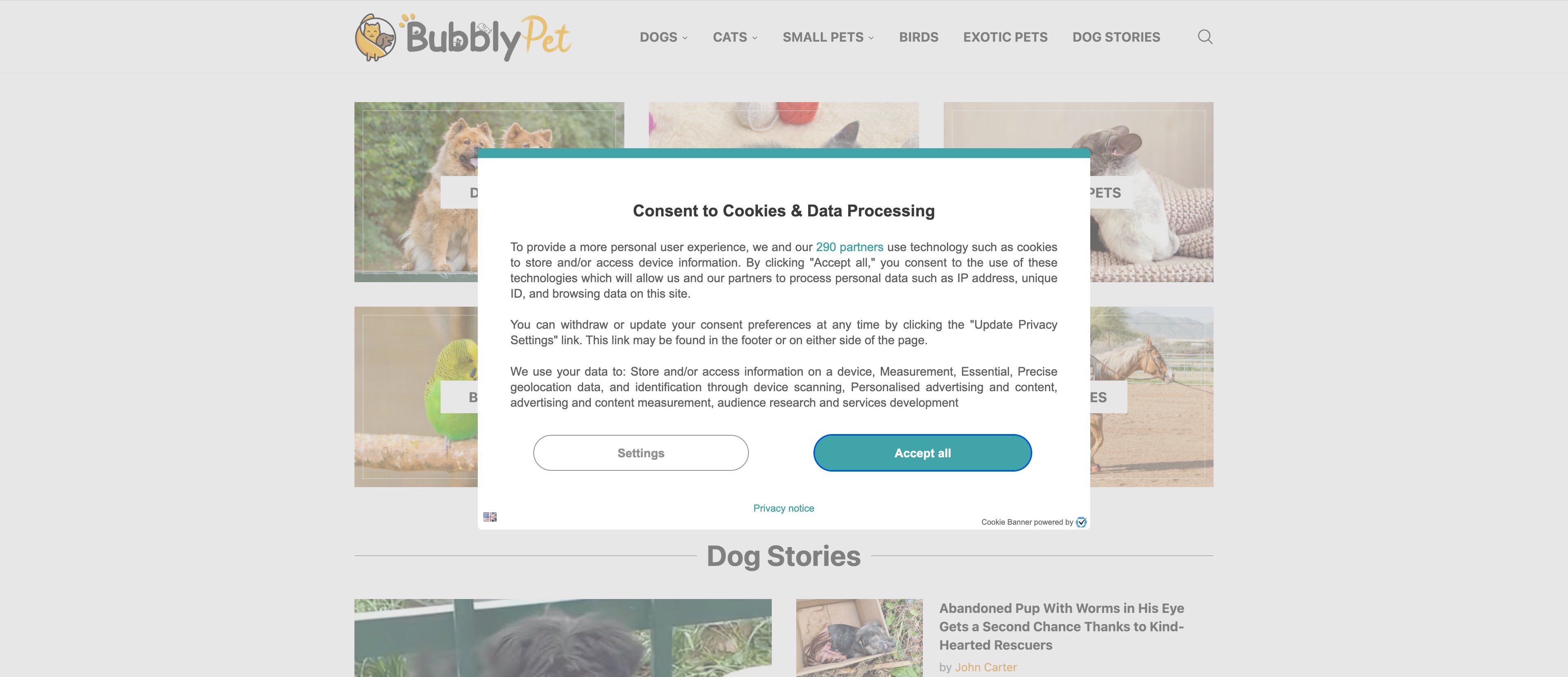 Bubblypet template programmatic SEO template - 0 monthly traffic