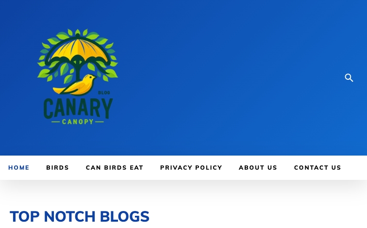 Canarycanopy template programmatic SEO template - 0 monthly traffic
