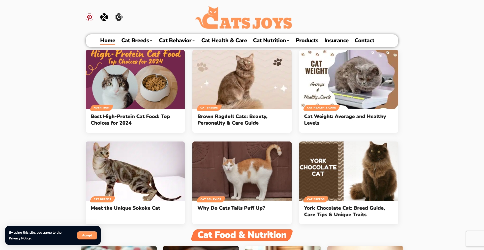 catsjoys.com location-data programmatic SEO template - 10K+ monthly traffic