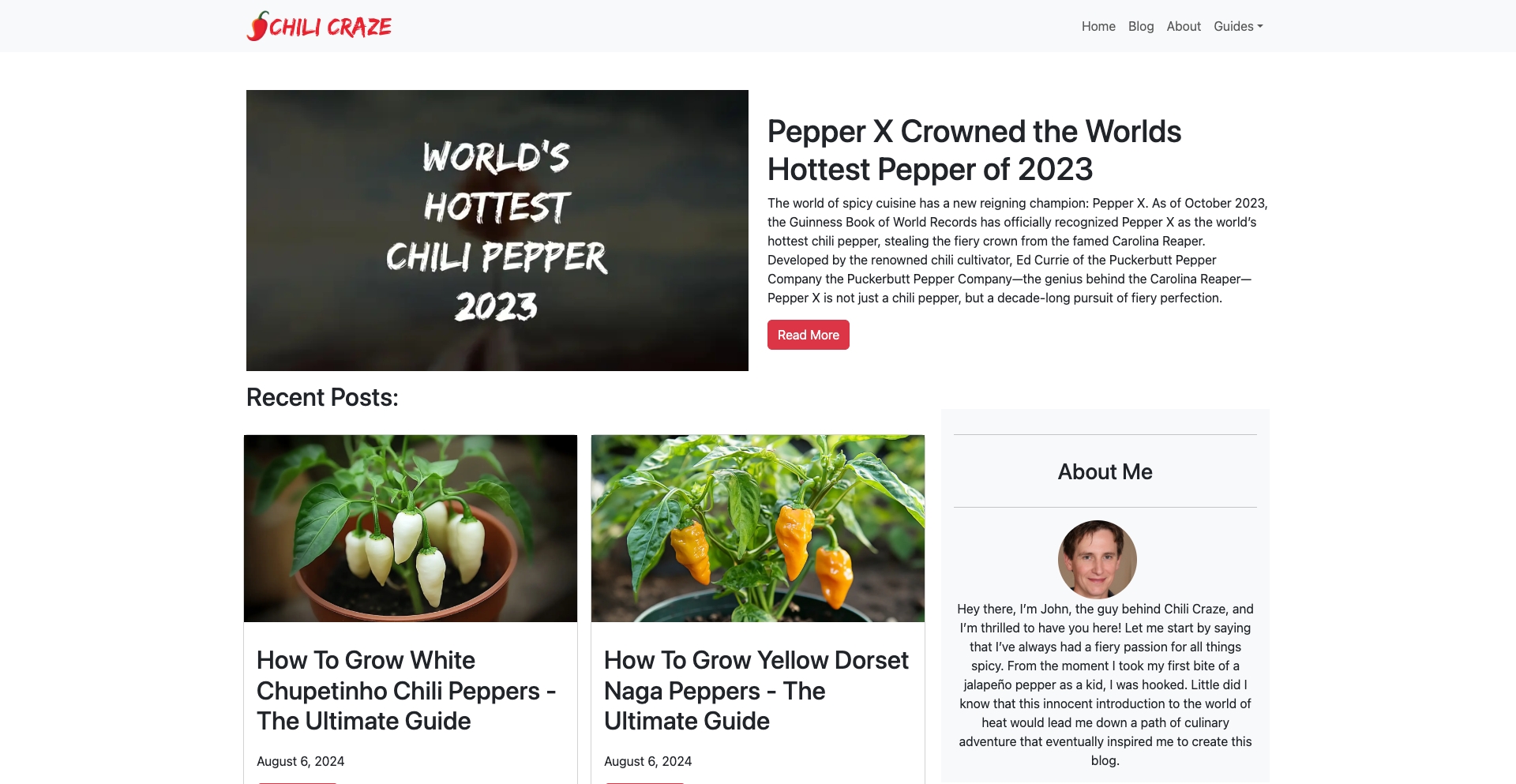 Chili Craze question-answer programmatic SEO template - 310 monthly traffic