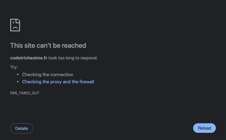 Codetrichesims template programmatic SEO template - 668 monthly traffic