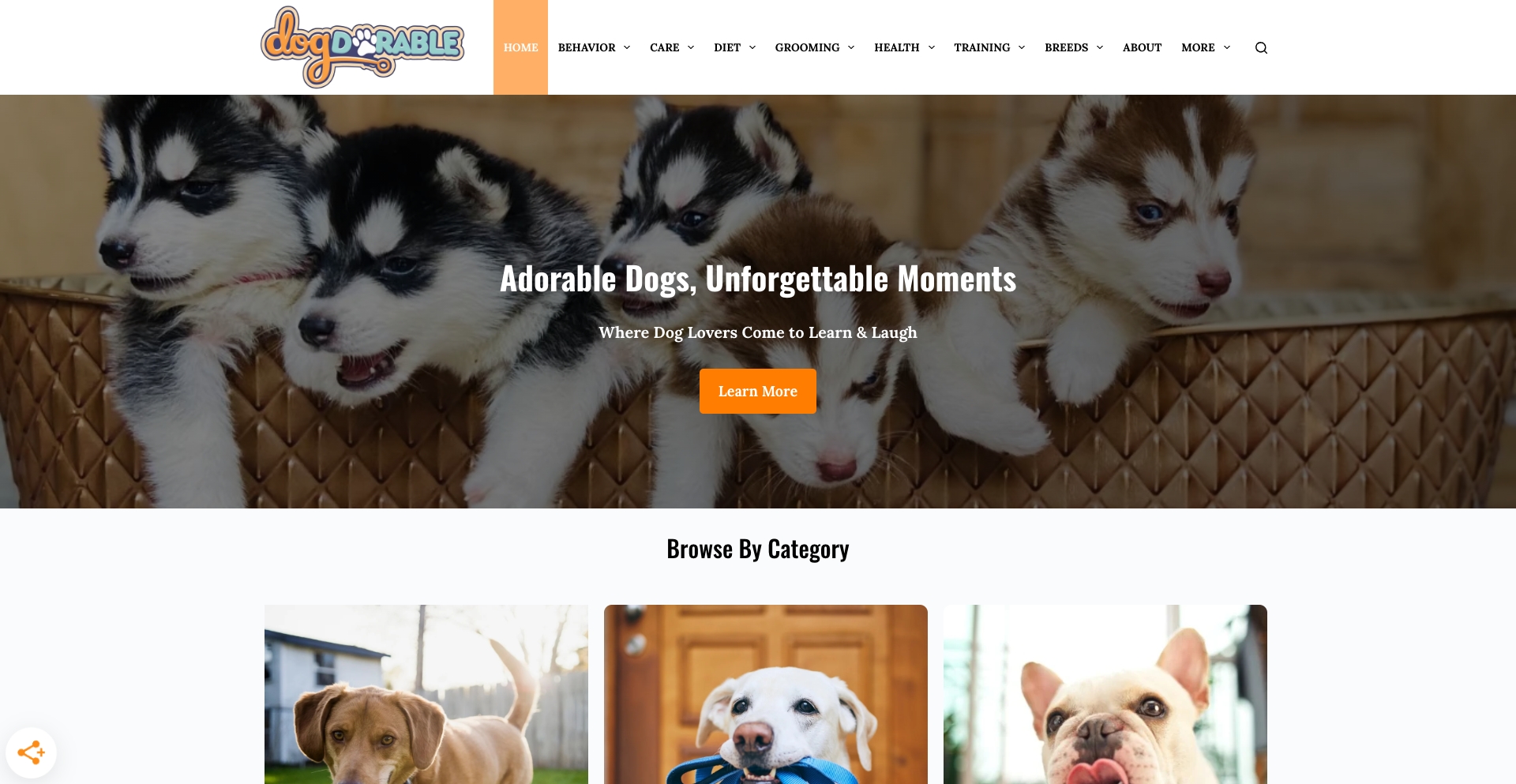 Dogdorable breed-topic-matrix programmatic SEO template - 0 monthly traffic