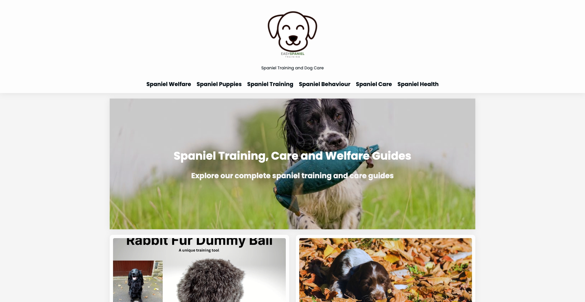 Easy Spaniel Training content programmatic SEO template - 0 monthly traffic