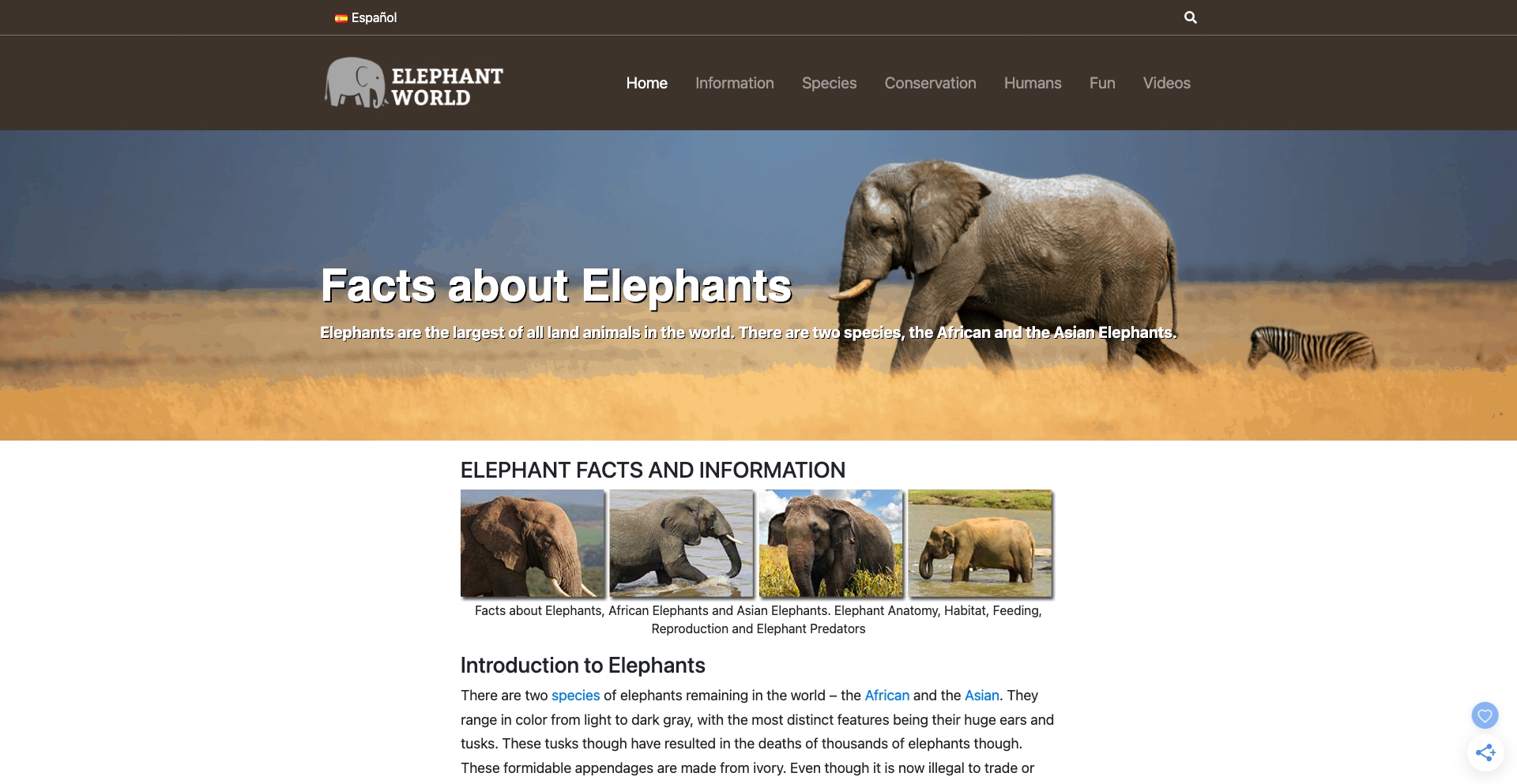 elephant-world.com location-data programmatic SEO template - 10K+ monthly traffic
