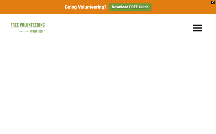 Freevolunteeringnet content programmatic SEO template - 0 monthly traffic