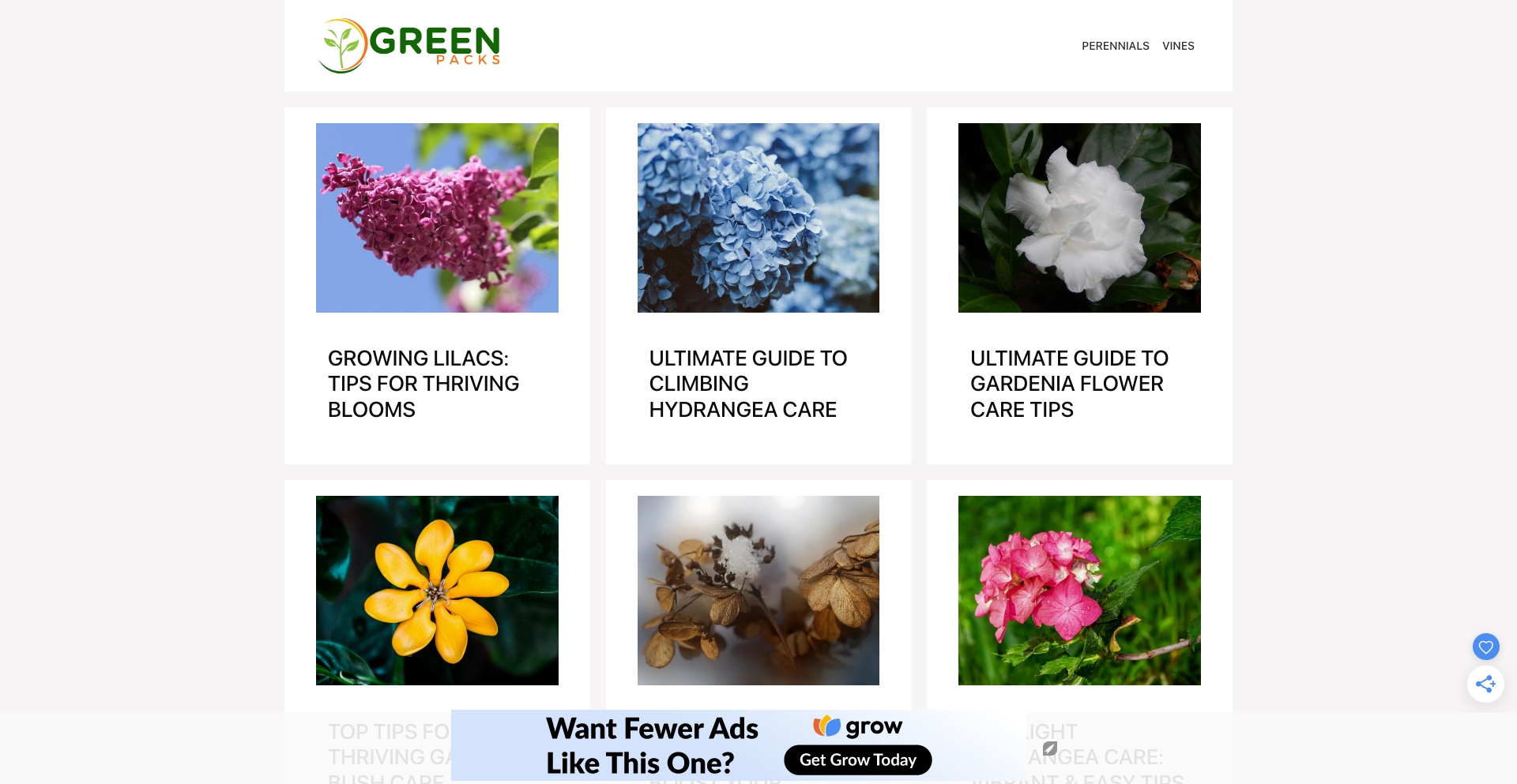 Greenpacks entity-database programmatic SEO template - 0 monthly traffic