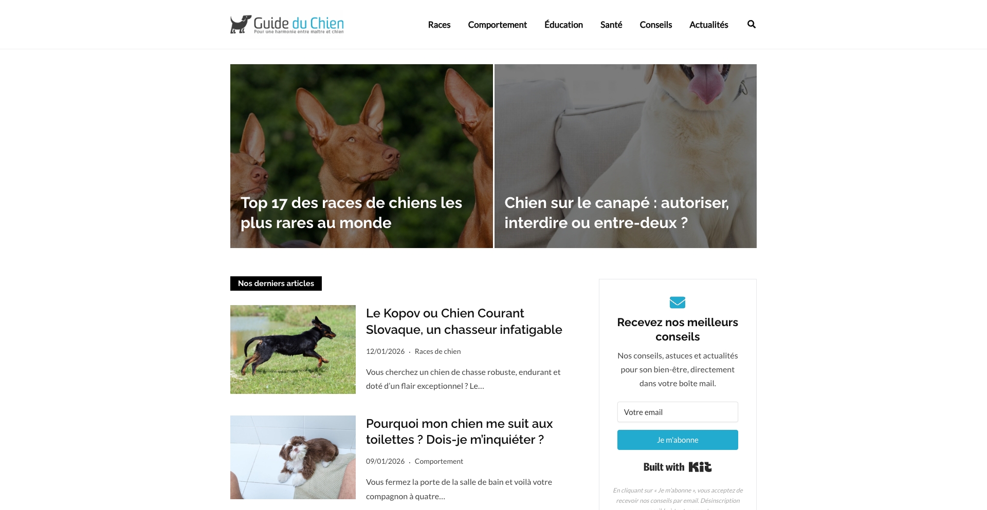 guide-du-chien.com location-data programmatic SEO template - 10K+ monthly traffic