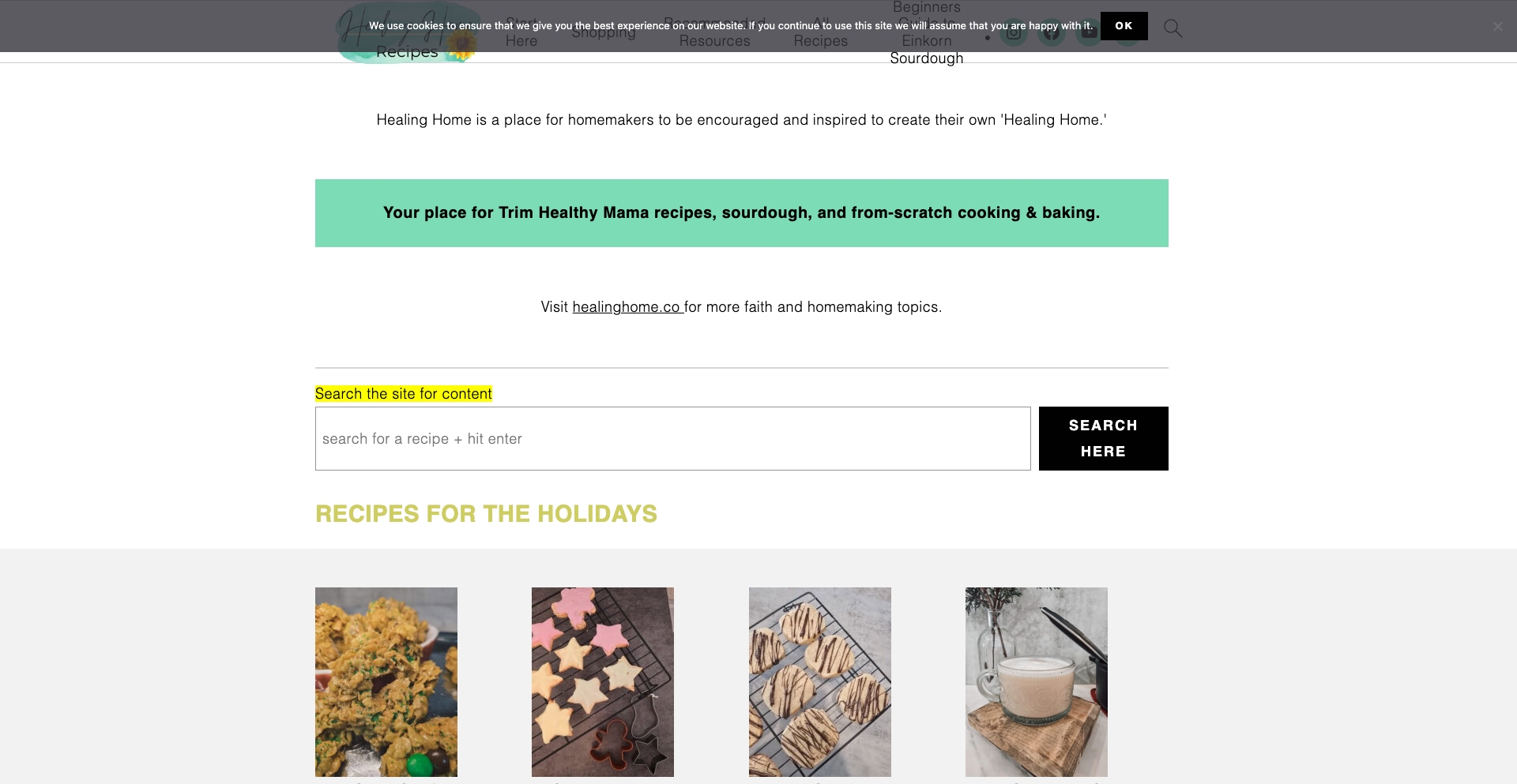 Healinghomerecipes recipe-template programmatic SEO template - 0 monthly traffic