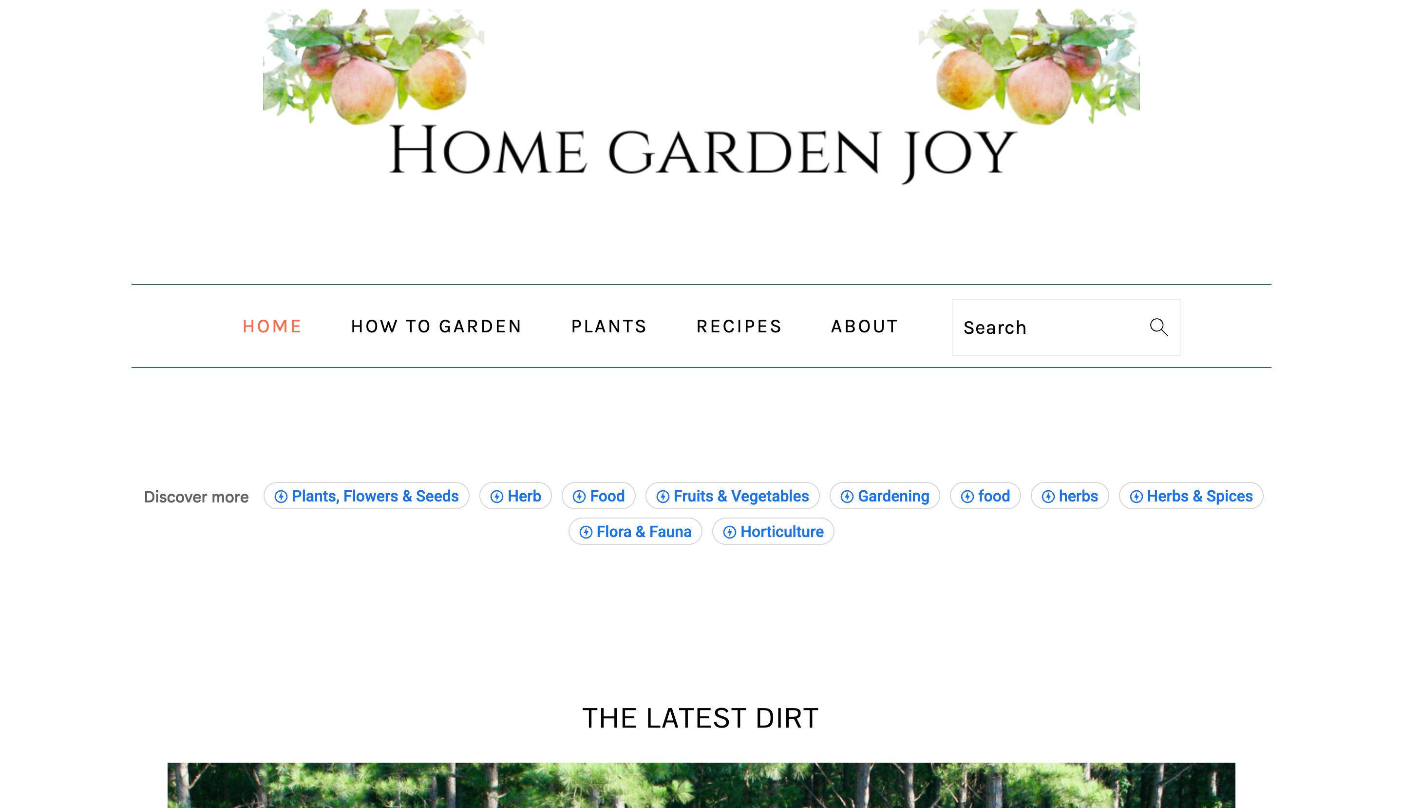 403 Forbidden question-answer programmatic SEO template - 1652 monthly traffic