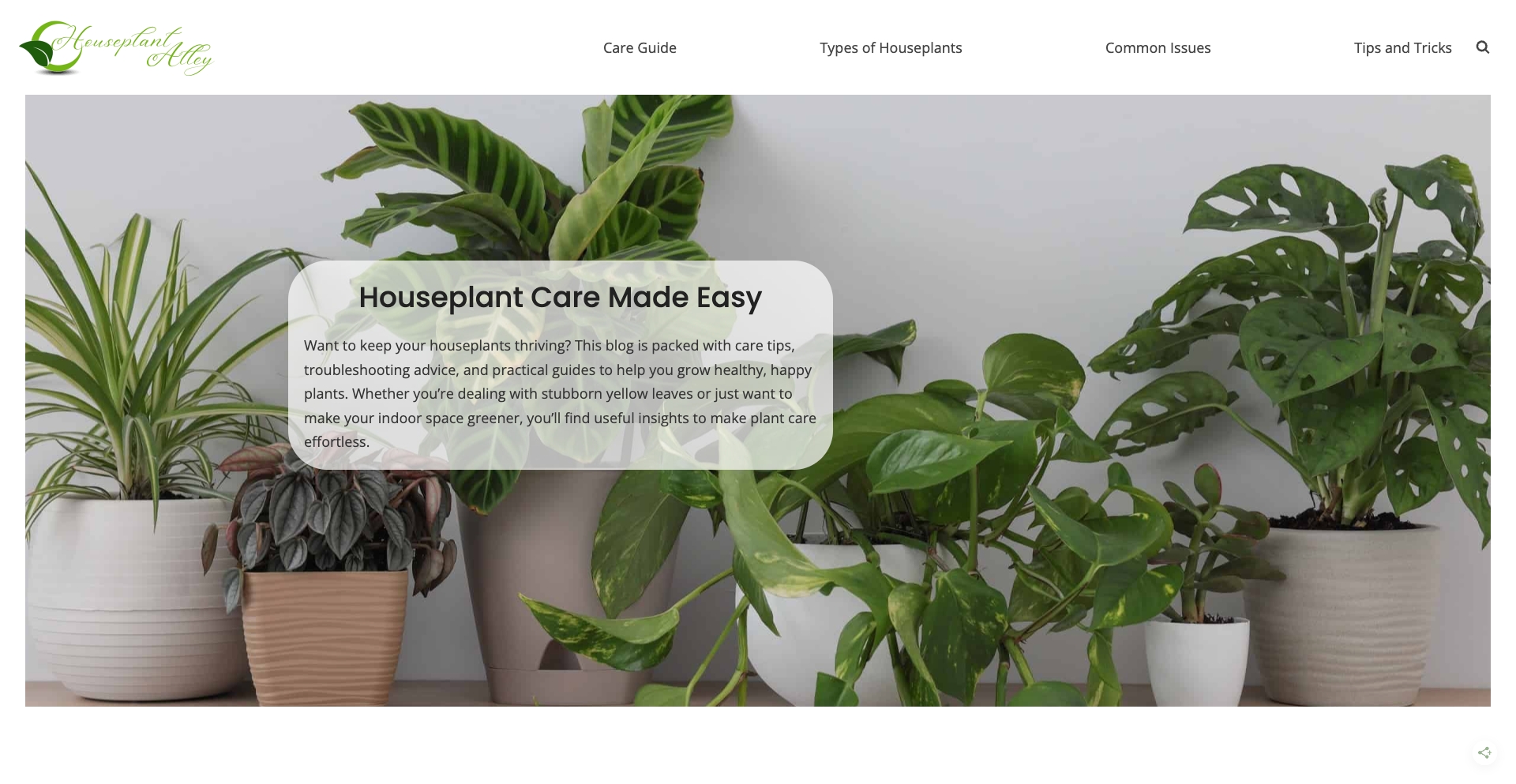 houseplantalley.com location-data programmatic SEO template - 10K+ monthly traffic