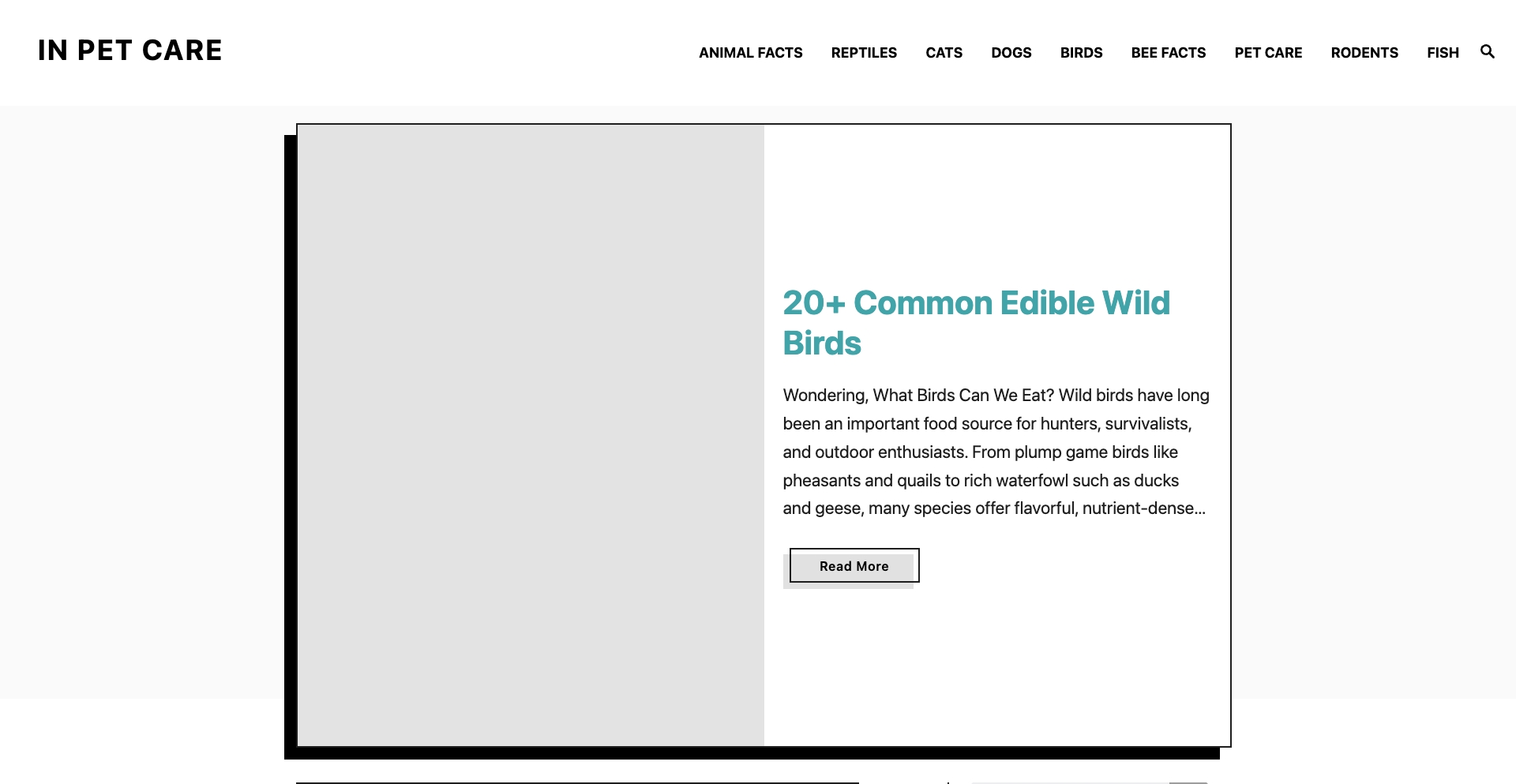 inpetcare.com entity-database programmatic SEO template - 10K+ monthly traffic