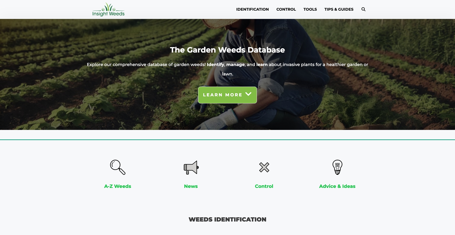 InsightWeeds location-data programmatic SEO template - 267 monthly traffic