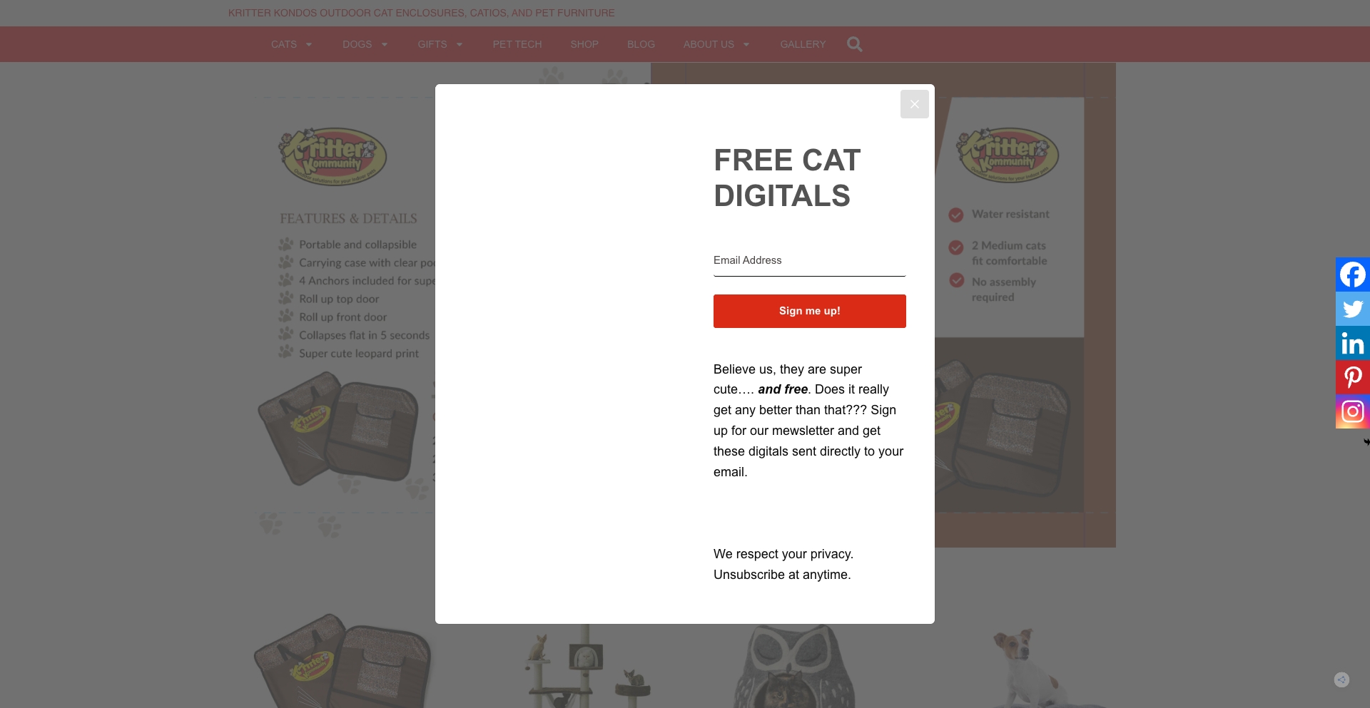 Kritterkommunitycom content programmatic SEO template - 0 monthly traffic