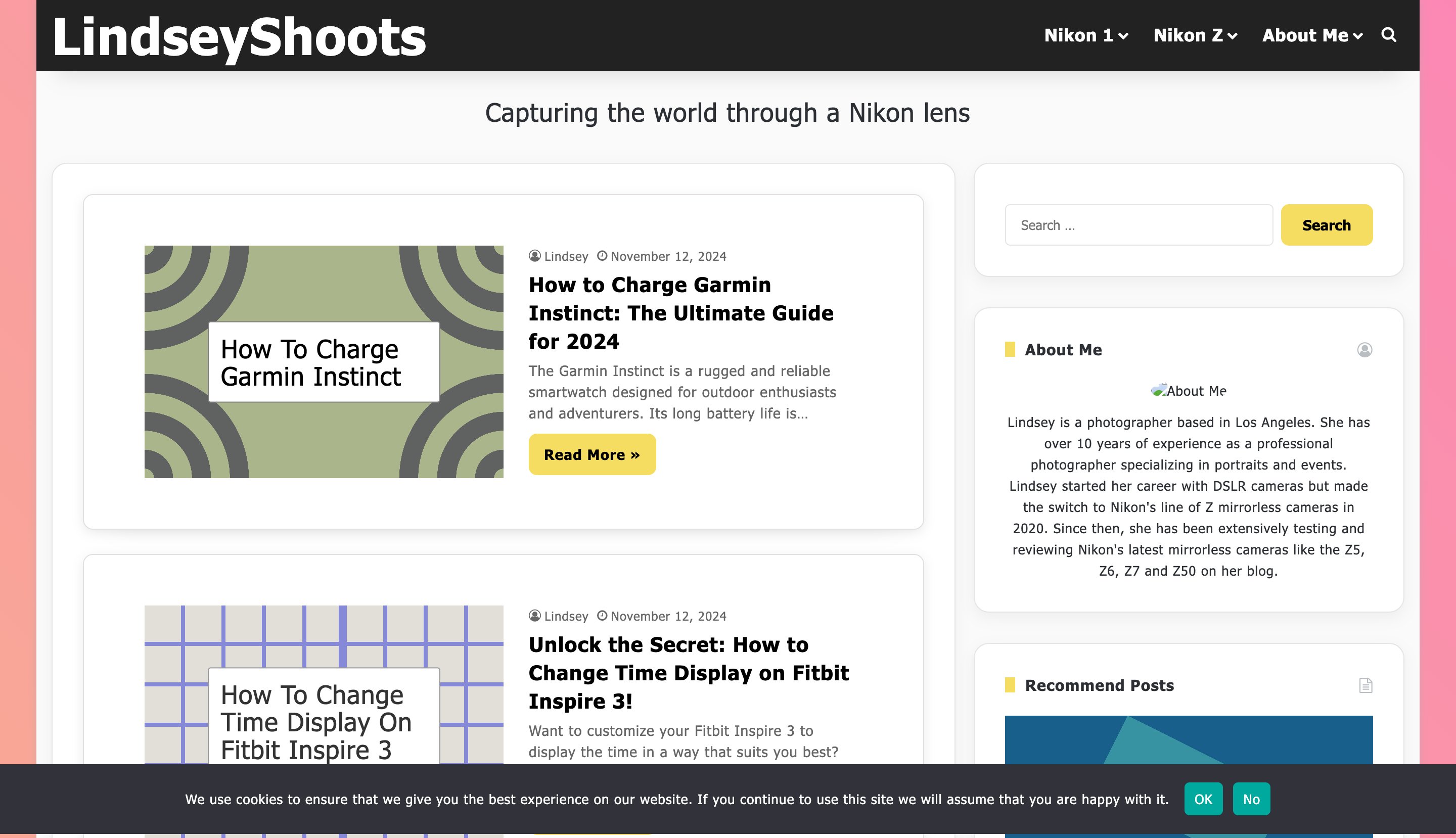 Lindseyshoots content programmatic SEO template - 0 monthly traffic