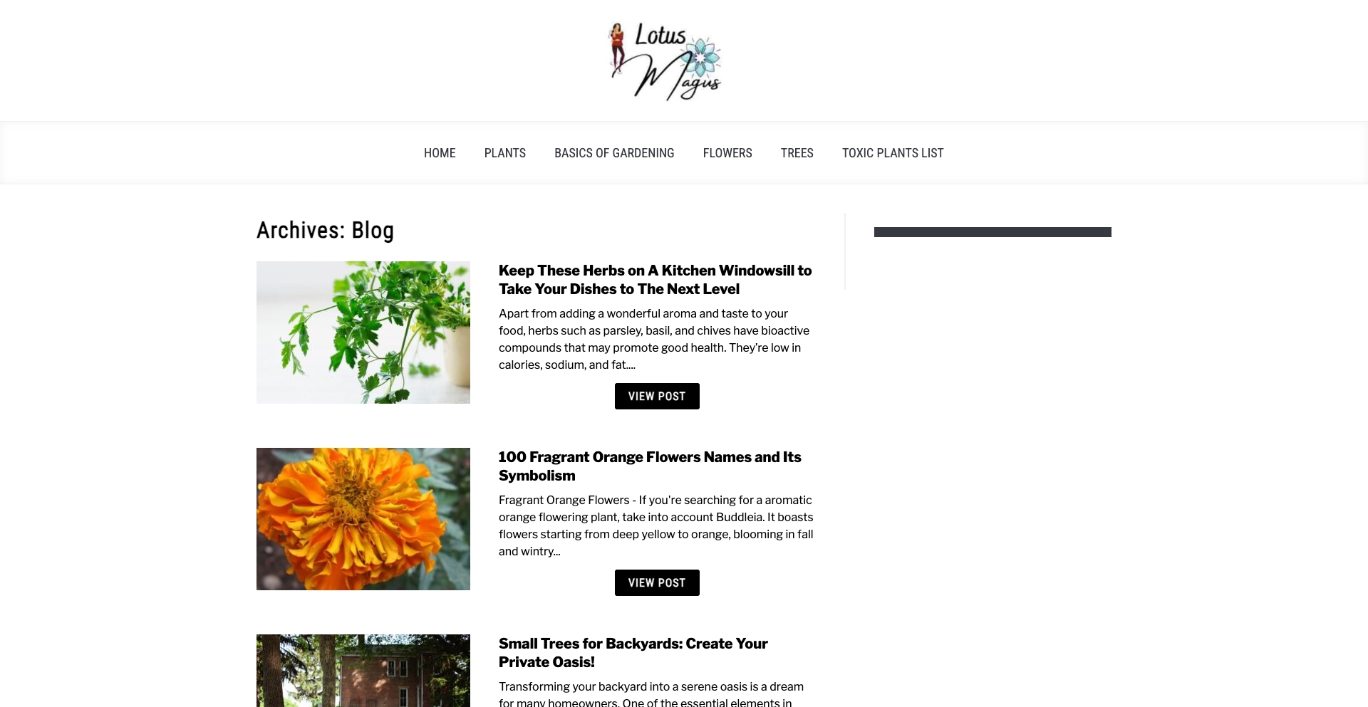 Lotus Magus entity-database programmatic SEO template - 0 monthly traffic