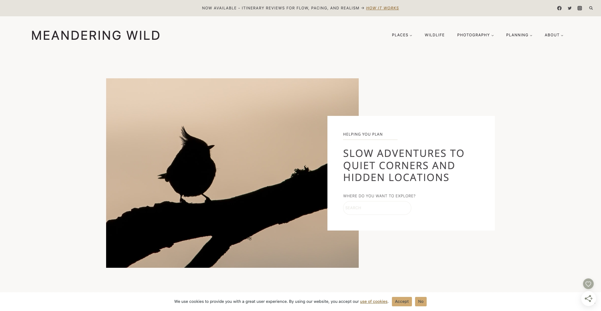 Meanderingwild location programmatic SEO template - 2321 monthly traffic