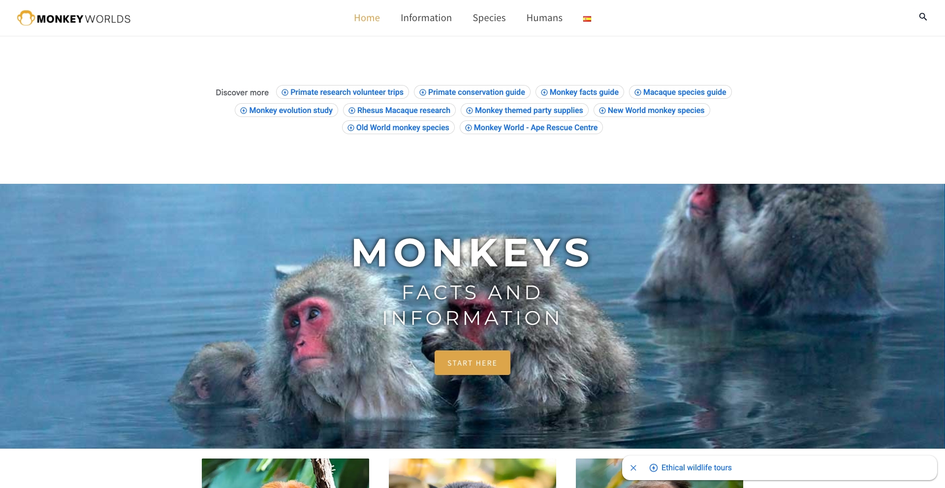 Monkey Facts and Information entity-database programmatic SEO template - 5858 monthly traffic
