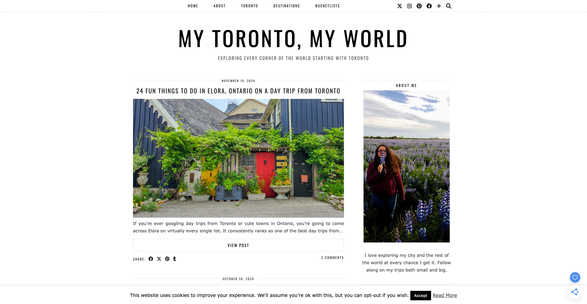 My Toronto My World geographic-hierarchy programmatic SEO template - 4401 monthly traffic