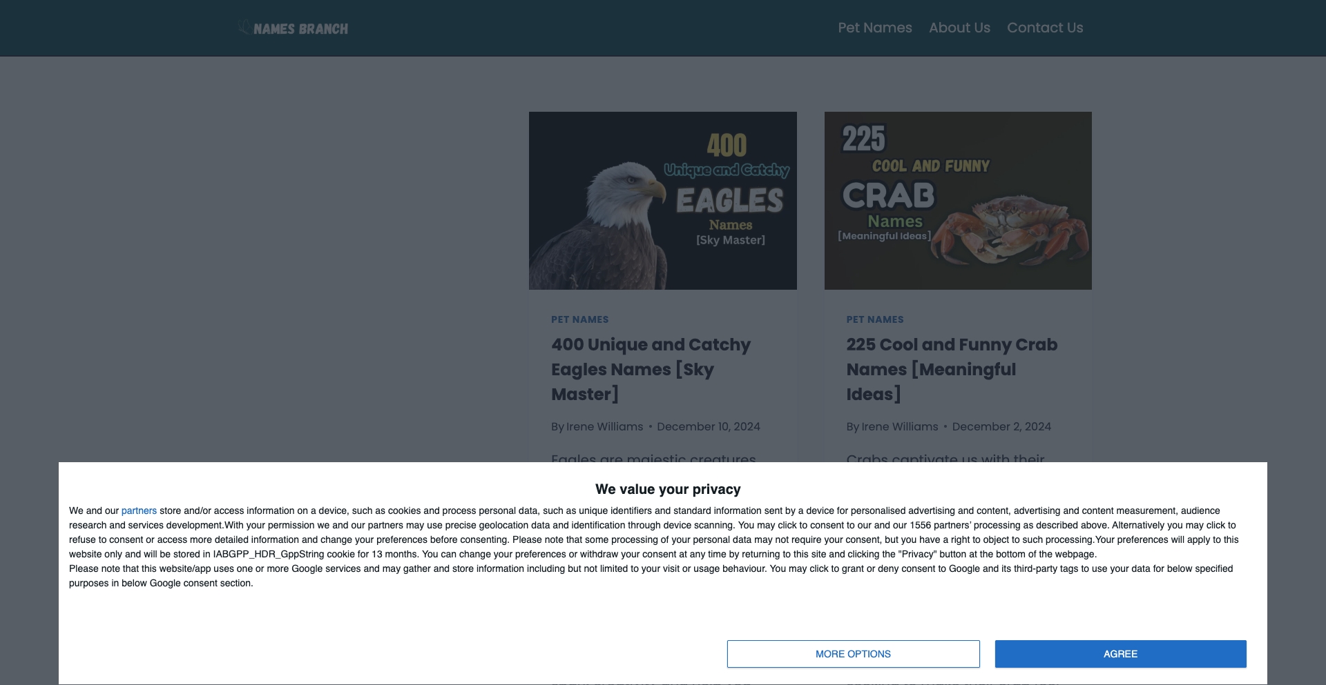Namesbranch entity-database programmatic SEO template - 711 monthly traffic