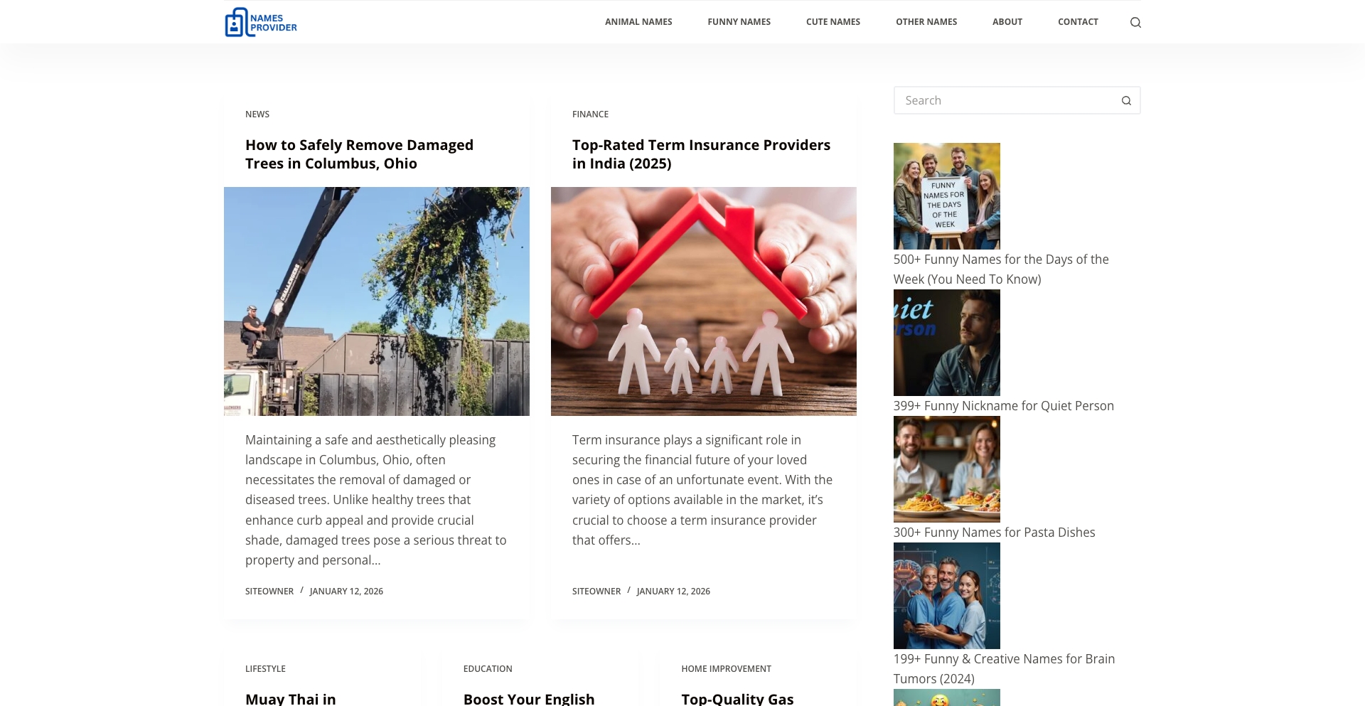 Names Provider entity-database programmatic SEO template - 903 monthly traffic