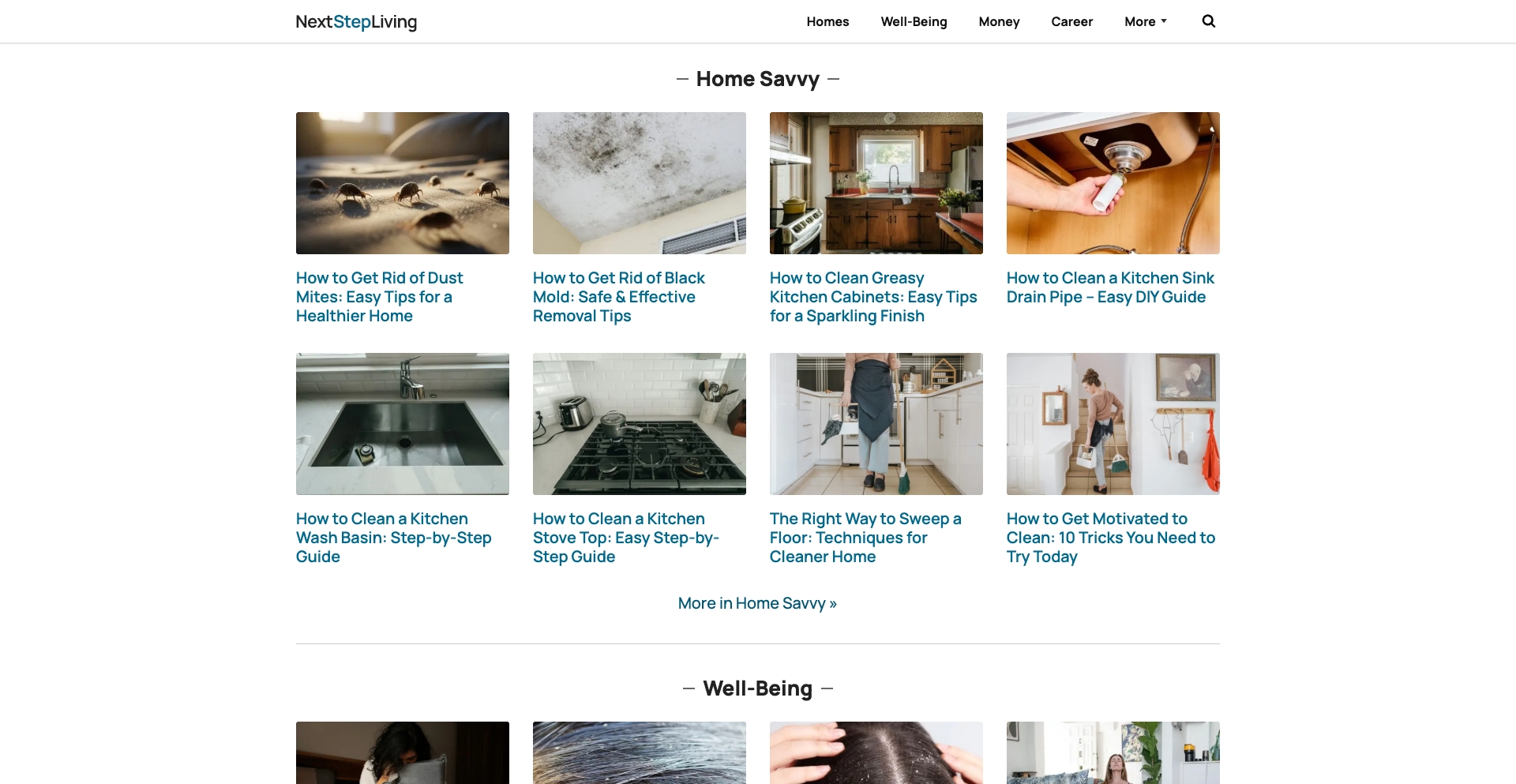 Next Step Living: Information and Resources question-answer programmatic SEO template - 21 monthly traffic