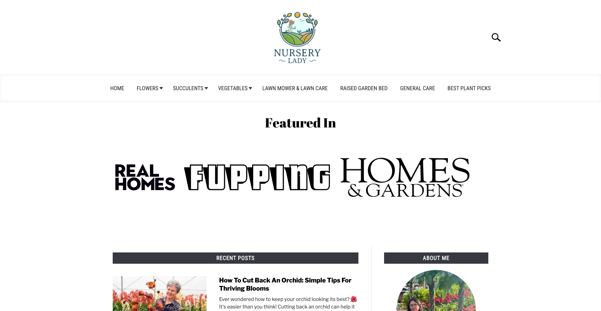 Nurserylady content programmatic SEO template - 0 monthly traffic