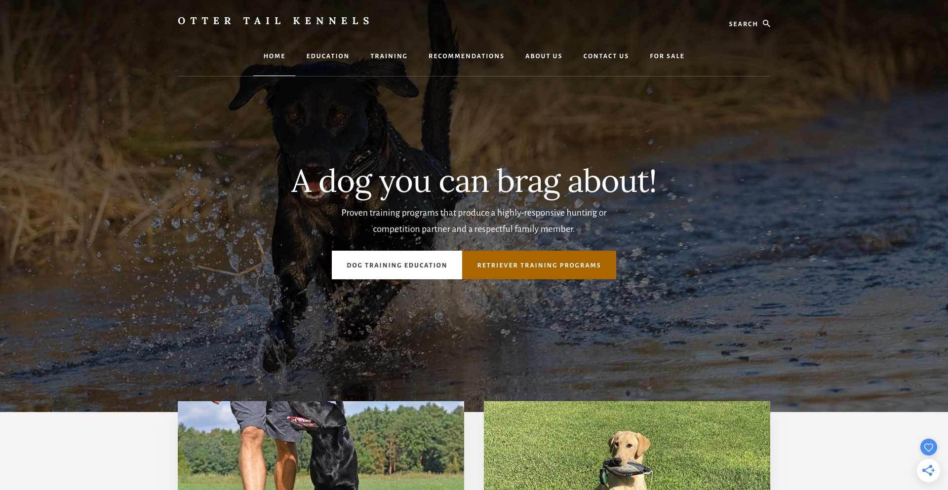 ottertailkennels.com location-data programmatic SEO template - 10K+ monthly traffic