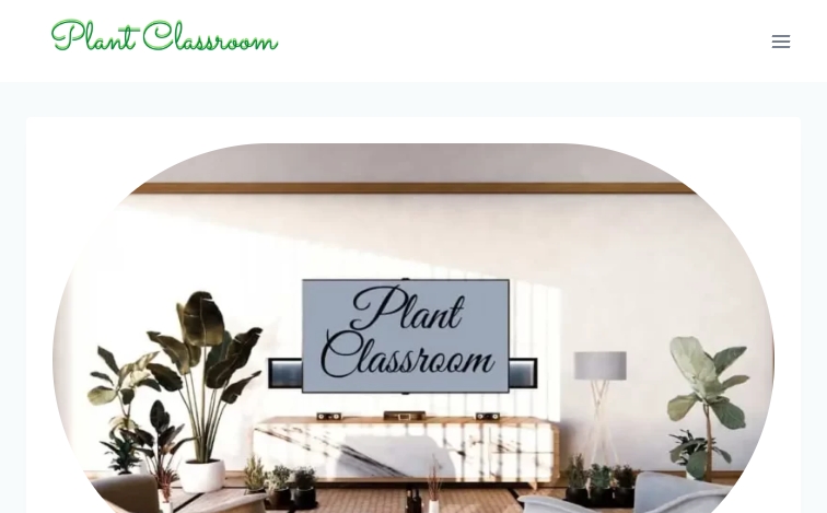 Plantclassroom entity-database programmatic SEO template - 3 monthly traffic