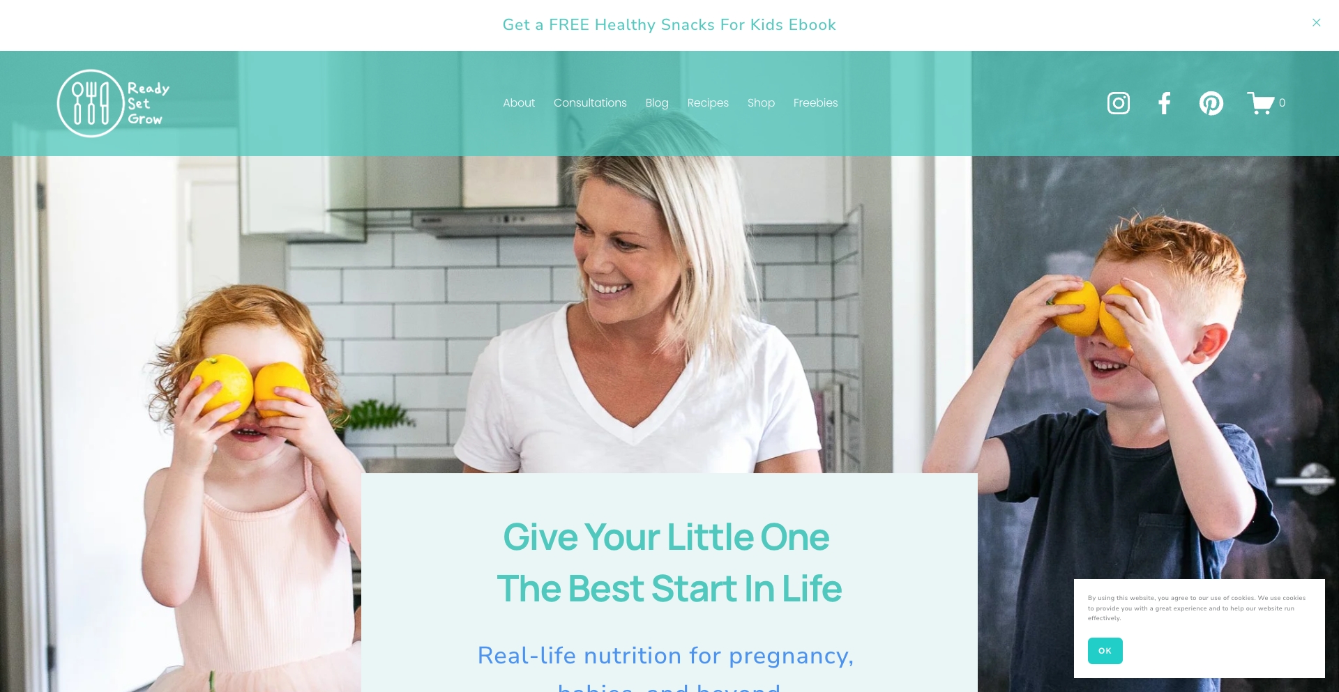 Ready Set Grow Nutrition tag-filter programmatic SEO template - 8K monthly traffic