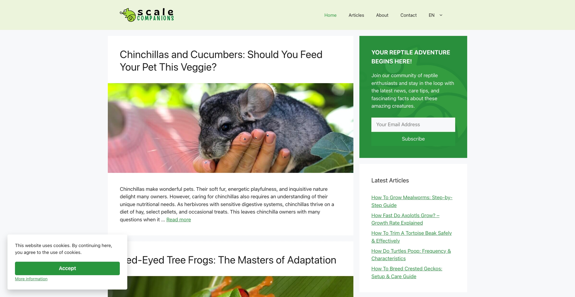 Scale Companions question-template programmatic SEO template - 0 monthly traffic