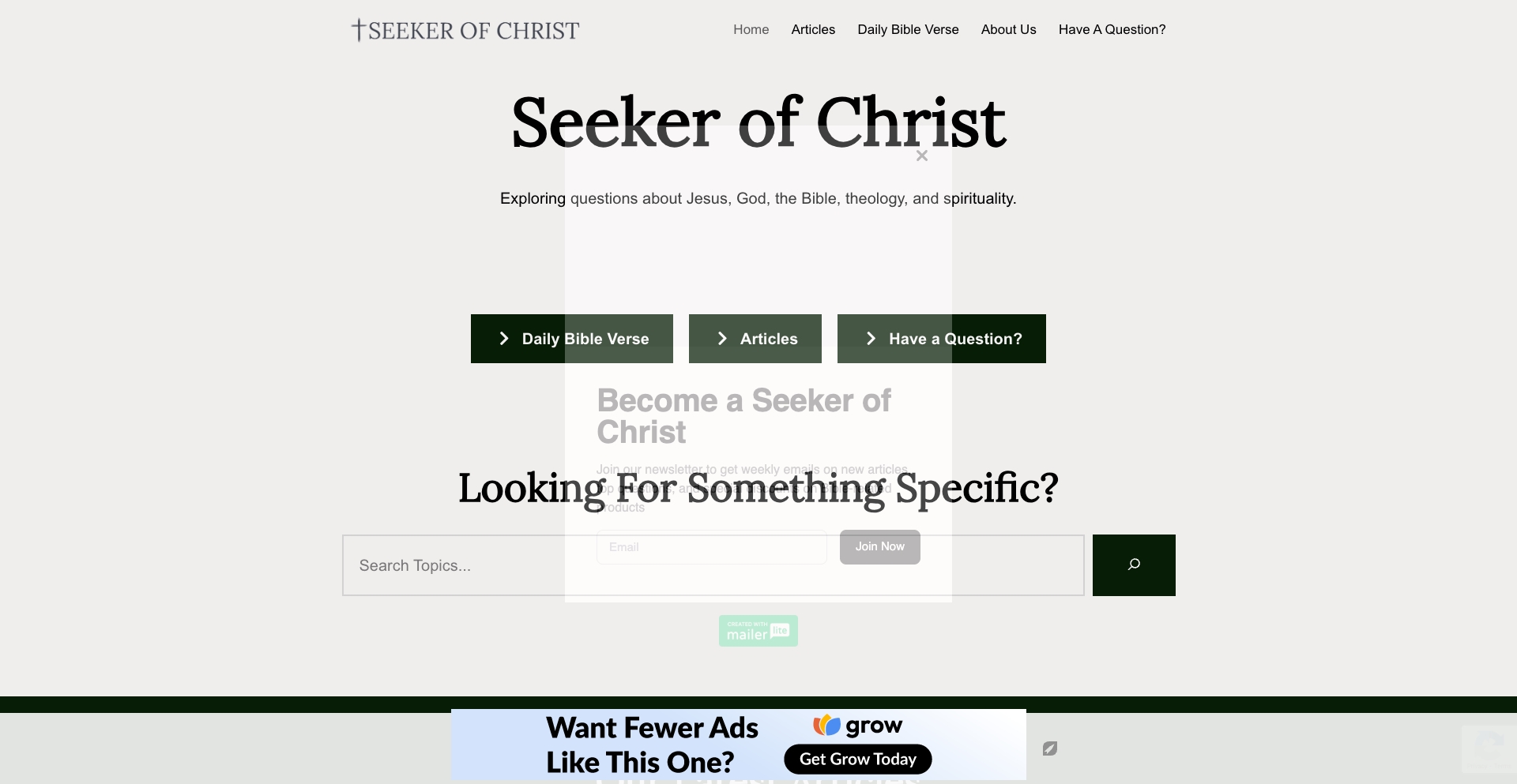 Bible Questions Answered | Seeker Of Christ question-answer programmatic SEO template - 4464 monthly traffic