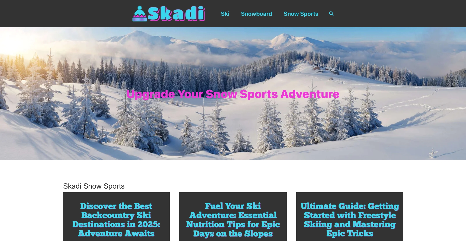 Skadi Snow Sports topic-database programmatic SEO template - 0 monthly traffic