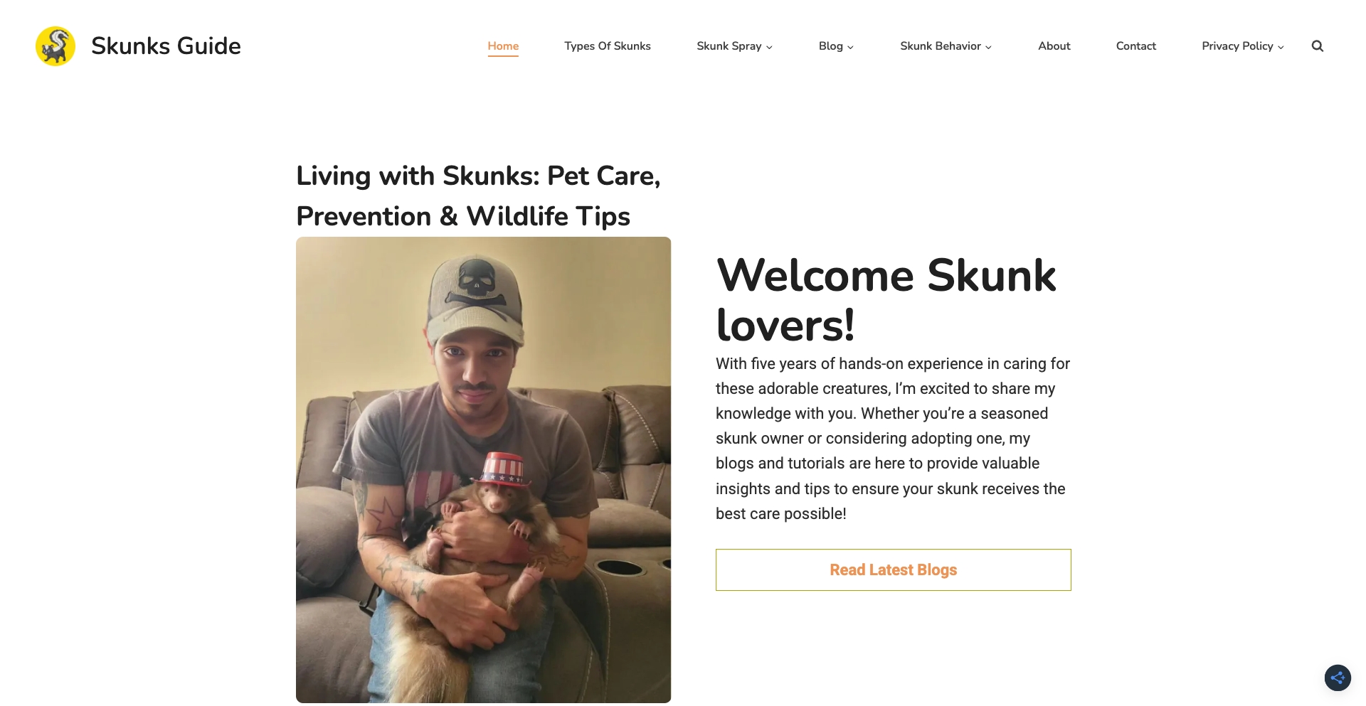 Home entity-database programmatic SEO template - 198 monthly traffic