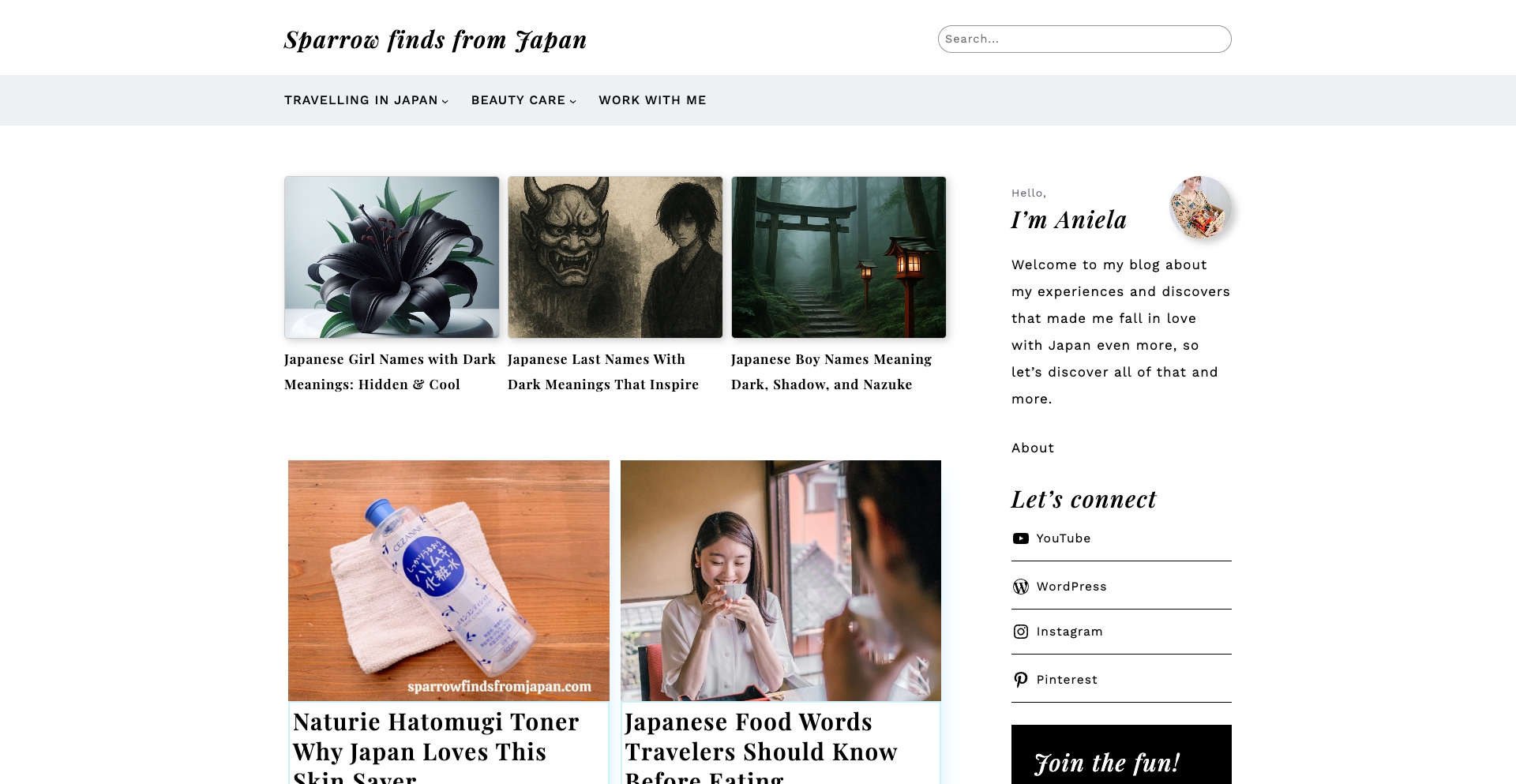 Sparrow finds from Japan template programmatic SEO template - 8120 monthly traffic