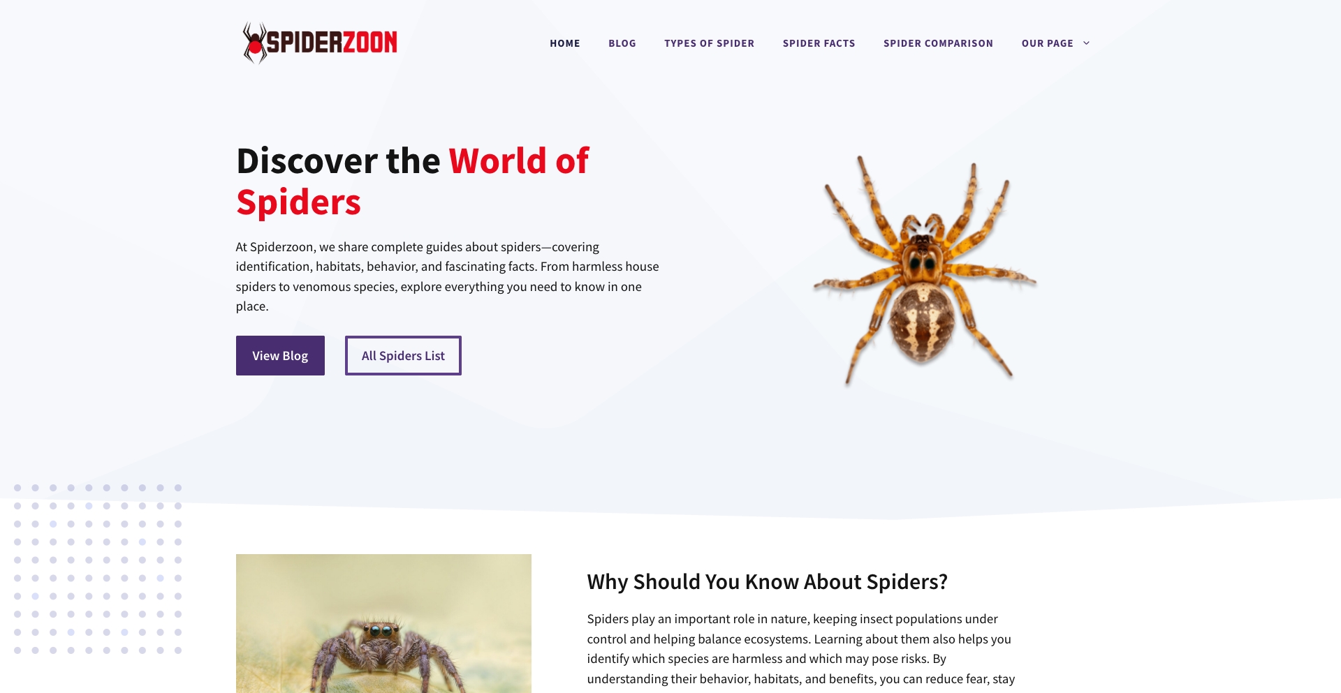 Spiderzoon content programmatic SEO template - 0 monthly traffic