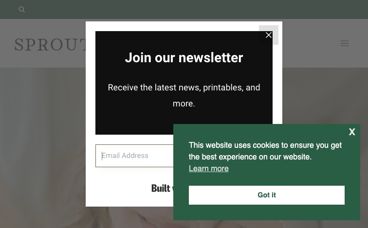 Sprouting Arrows grade-subject-template programmatic SEO template - 0 monthly traffic