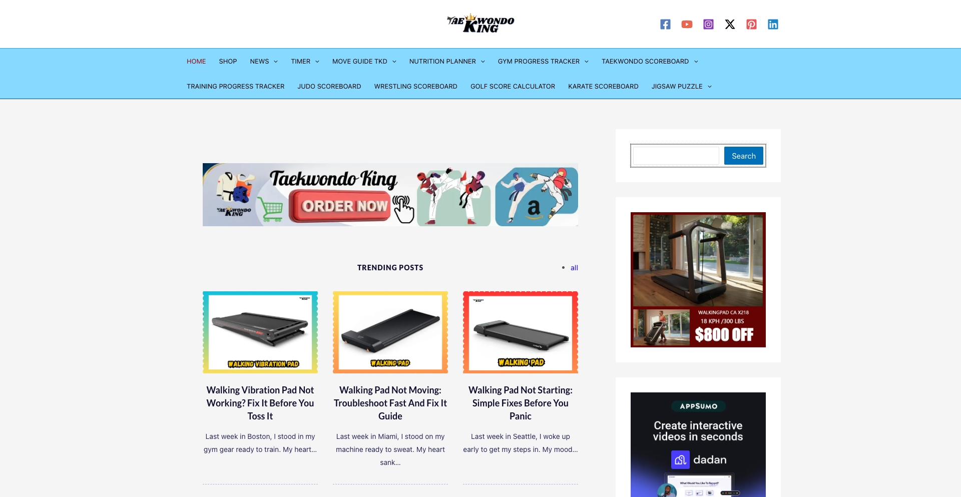 Taekwondo King entity-database programmatic SEO template - 179 monthly traffic