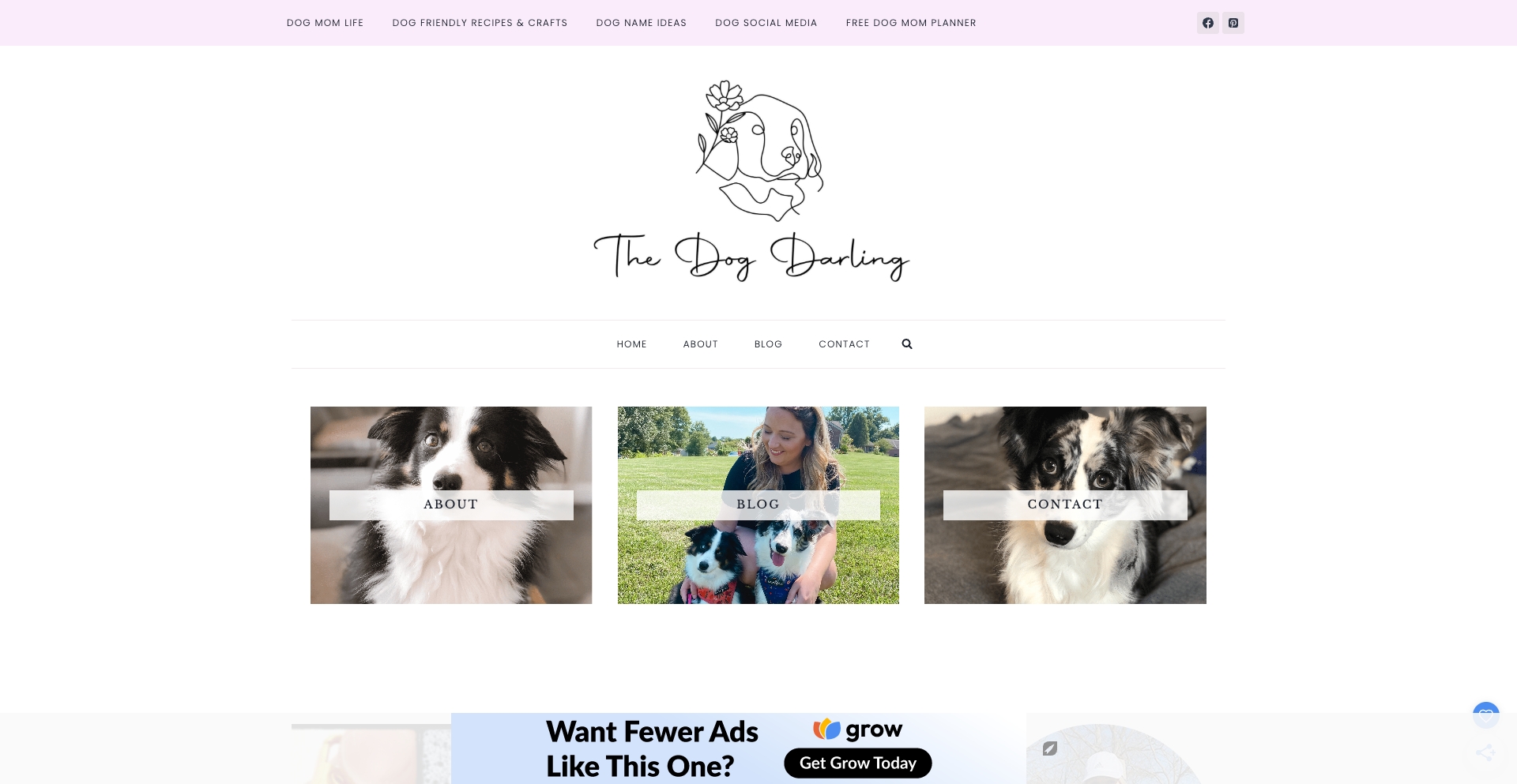 The Dog Darling category-template programmatic SEO template - 941 monthly traffic